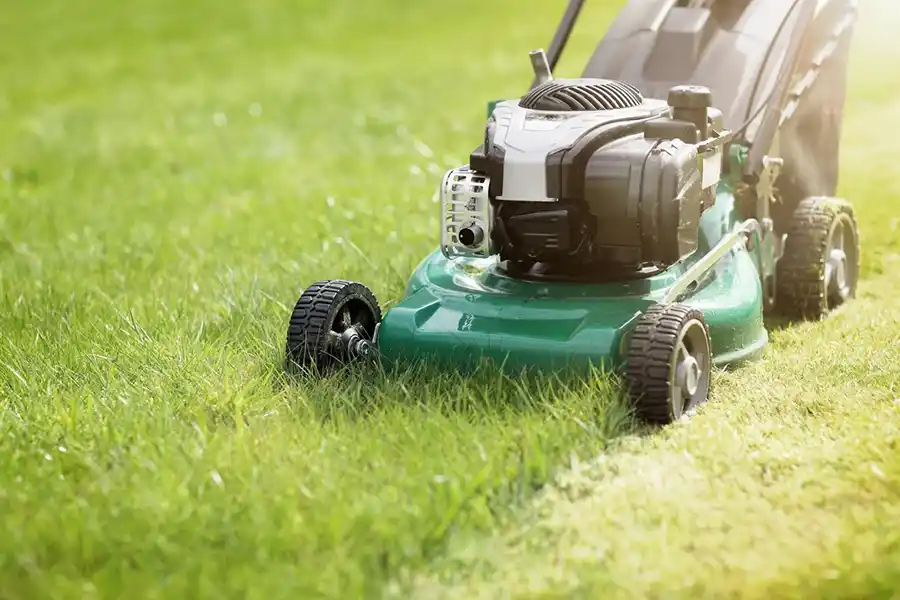 How Often Should I Mow My Lawn in Livermore, CA