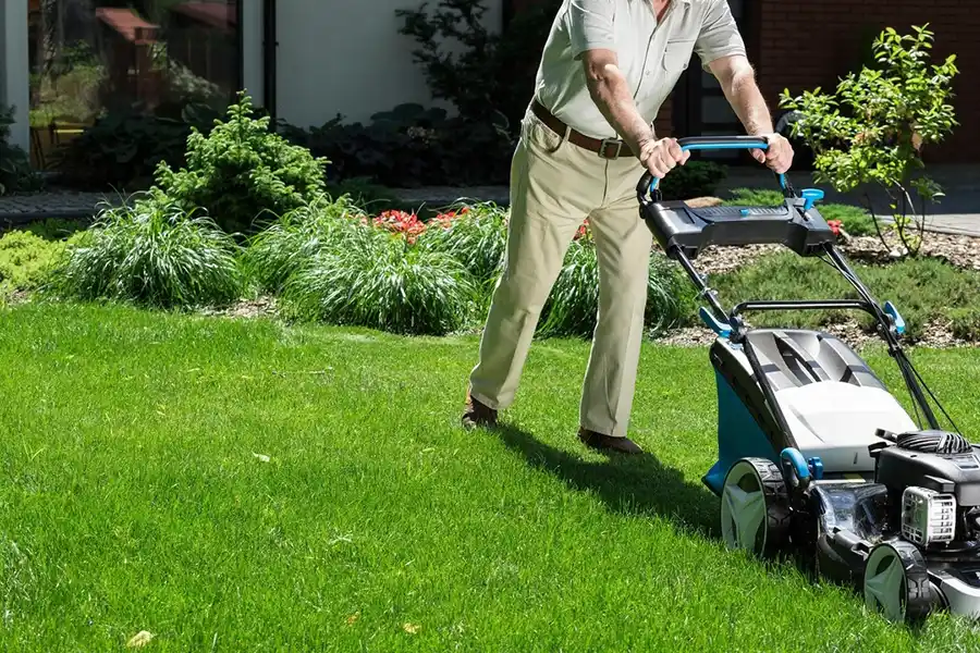 How Often Should I Mow My Lawn Livermore, CA