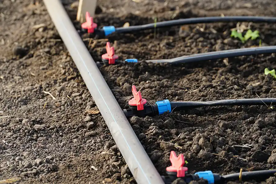 How to Install a Drip Irrigation System in Livermore, CA