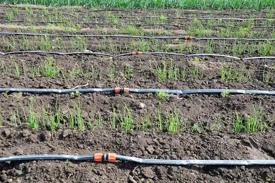 How to Install a Drip Irrigation System Livermore, CA