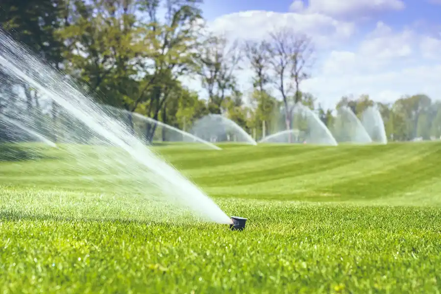 Efficient Irrigation System Installation in Livermore, CA