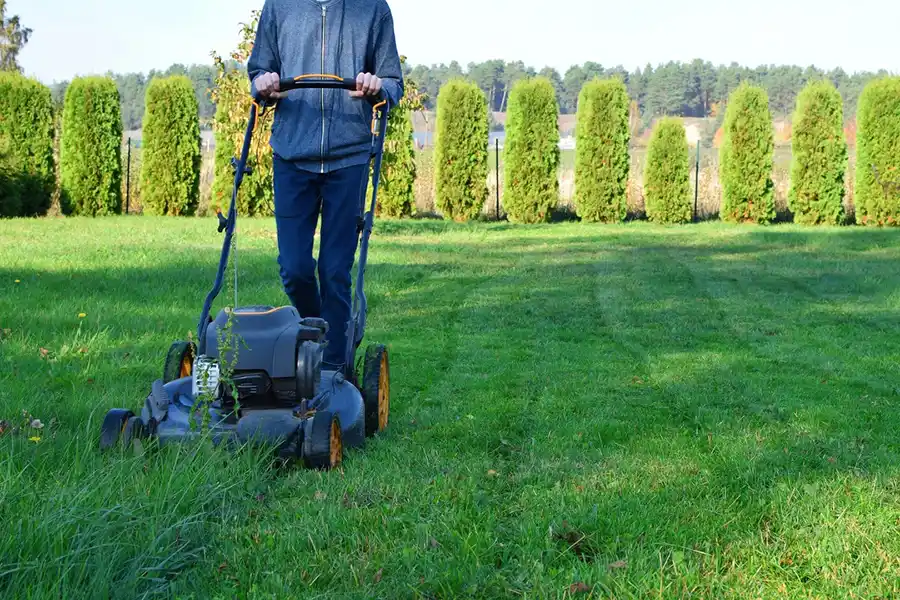 Efficient Lawn Mowing Services in Livermore, CA