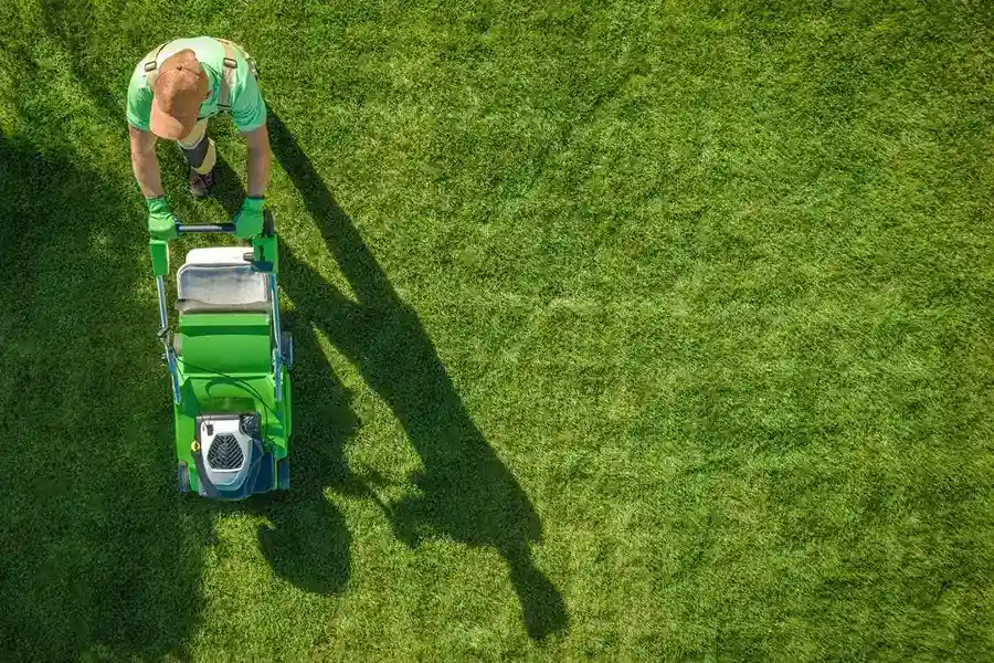 Best Lawn Mowing Services in Livermore, CA