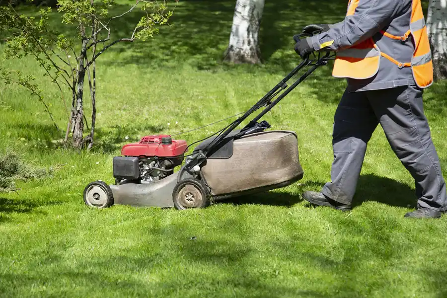 Reliable Lawn Mowing Services in Livermore, CA